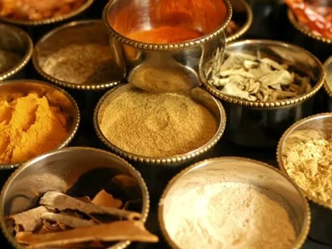 Restaurant Bergen Lille Taste Of Indian Tandoori