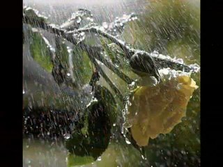 GÖKSEL SENDEN BAŞKA