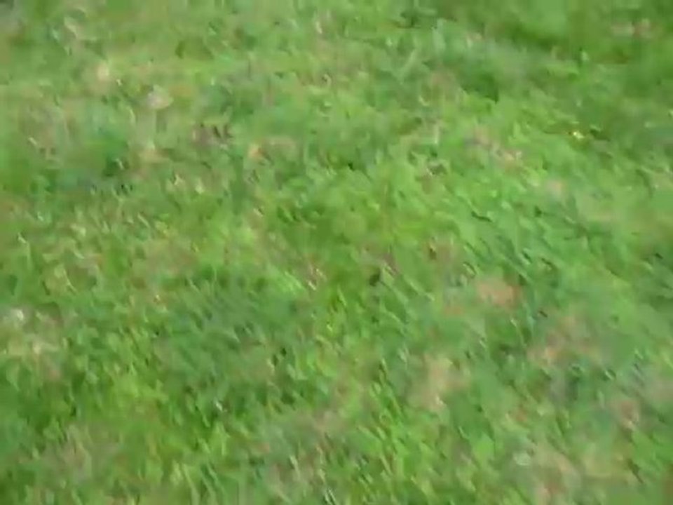 Sonic est un Waciste!!