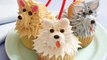 Food Book Review: Hello, Cupcake!: Irresistibly Playful Creations Anyone Can Make by Karen Tack, Alan Richardson