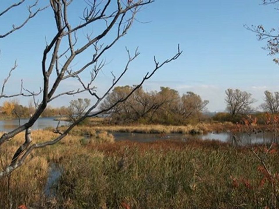 Paysages d' Automne 2012 Parc des Rapides  LaSalle Qc