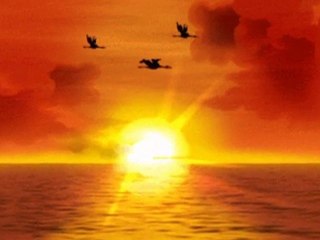 Zara*Sen Bensiz Ben Sensiz*