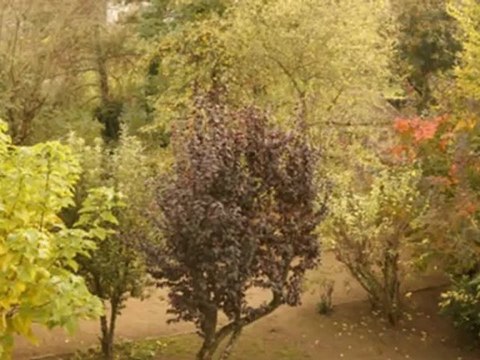 Charolles maison a vendre charolles 5 chambres Maison Surf