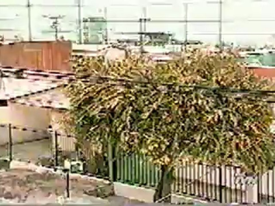 Incidente Ketty  - Programa OVNI (TVN)