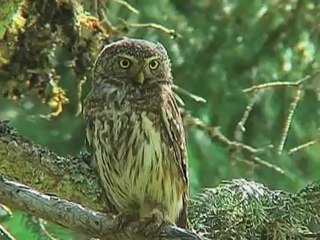 Au programme - Emission du 2 novembre 2012