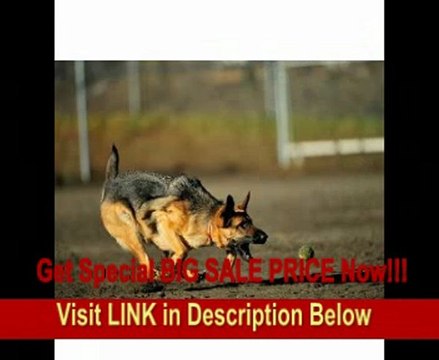 Nikon 200-400mm f/4G ED-IF AF-S VR Zoom Nikkor Lens for Nikon Digital SLR Cameras