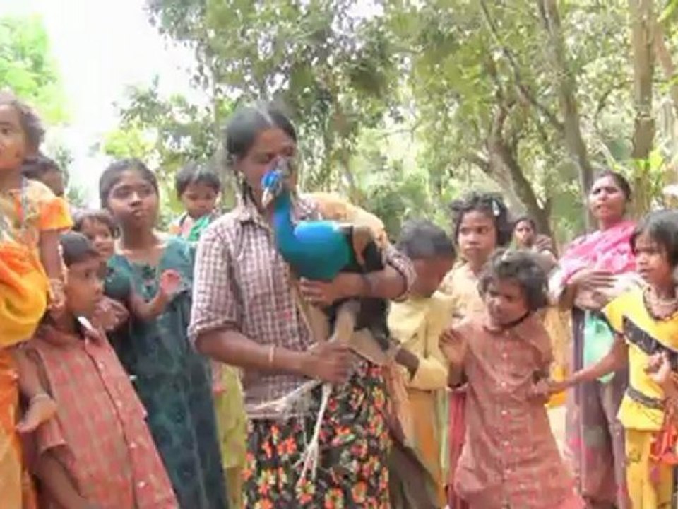 India : Woman mother of a Peacock