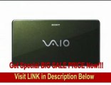 Sony VAIO VGN-P530H/G Lifestyle PC (1.33 GHz Intel Processor, 2 GB RAM, 60 GB Hard Drive with G-Sensor, Vista Basic) Green