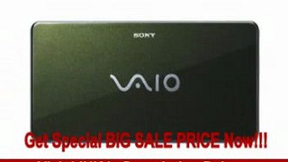 Sony VAIO VGN-P530H/G Lifestyle PC (1.33 GHz Intel Processor, 2 GB RAM, 60 GB Hard Drive with G-Sensor, Vista Basic) Green