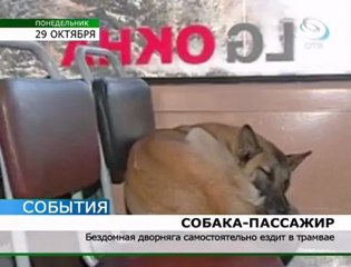 Молчаливый пассажир