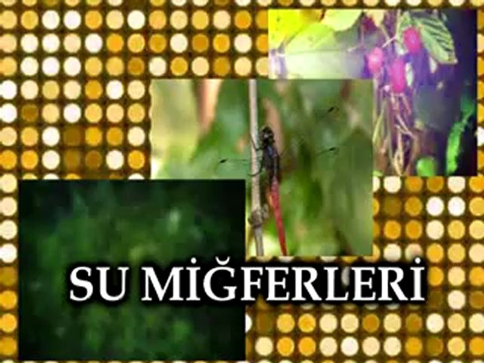 SU MİĞFERLERİ