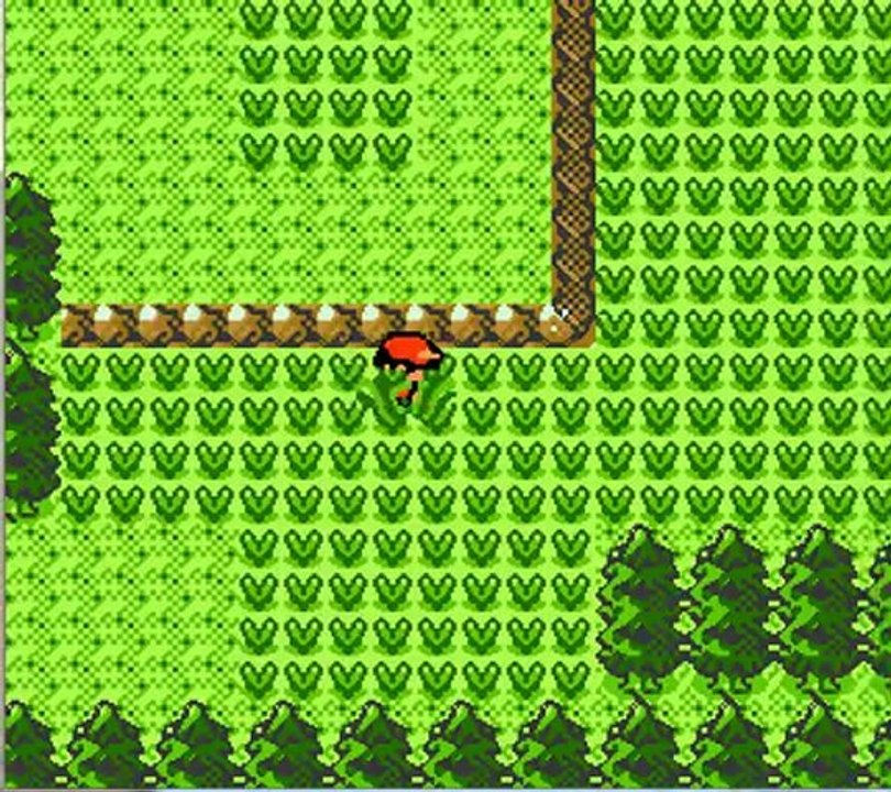 pokemon gameplay 1er vrai video