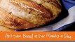 Food Book Review: Artisan Bread in Five Minutes a Day: The Discovery That Revolutionizes Home Baking by Jeff Hertzberg MD, Zo Franois, Mark Luinenburg