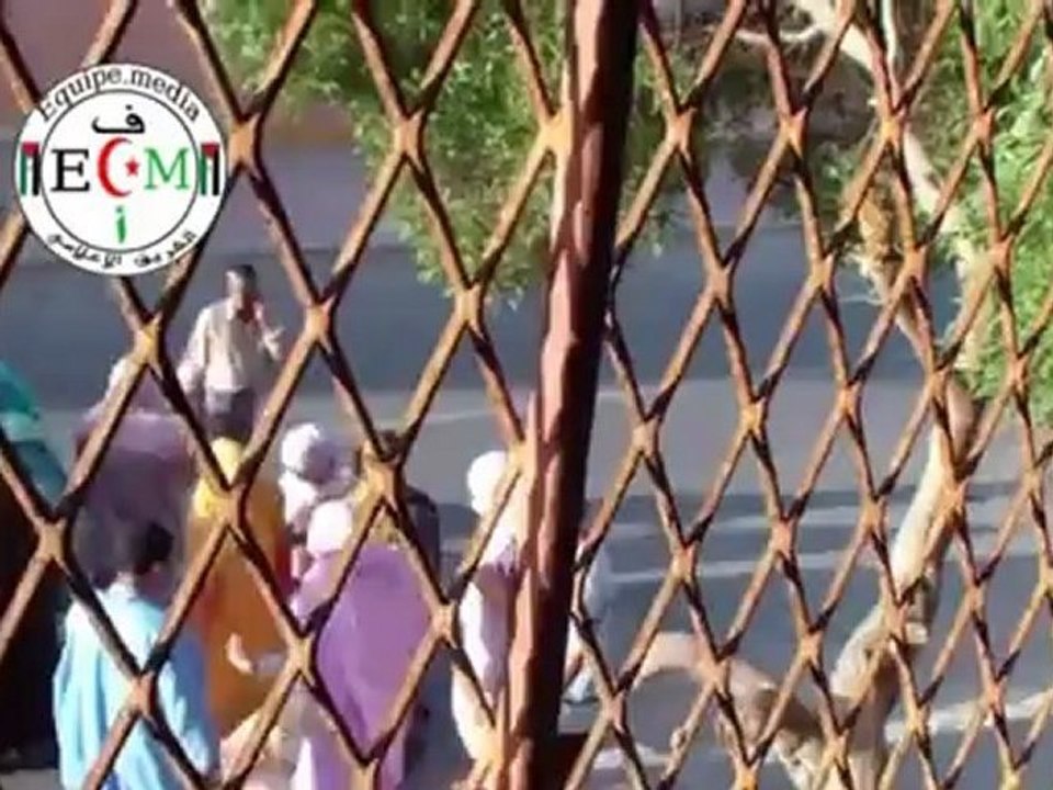 Violence forces d'occupation marocaines contre des civils sahraouis dans la deuxième journée de la visite de Christopher Ross dans les territoires occupés du Sahara Occidental