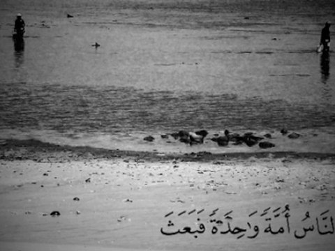 Zion Dirty Sound - Sebe Allah (Alpha Blondy cover)