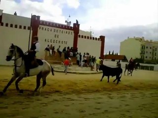 ALCOCHETE 2012 ENTRADA DE TOIROS