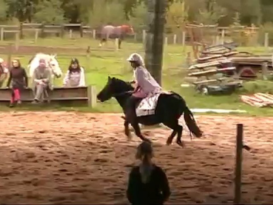 Portes ouvertes 2012-N°10-Maeva & Réglisse