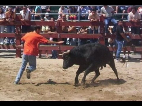 ARRUDA DIS VINHOS CASAIS DA MARINELA