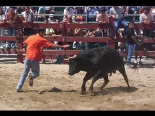 ARRUDA DIS VINHOS CASAIS DA MARINELA