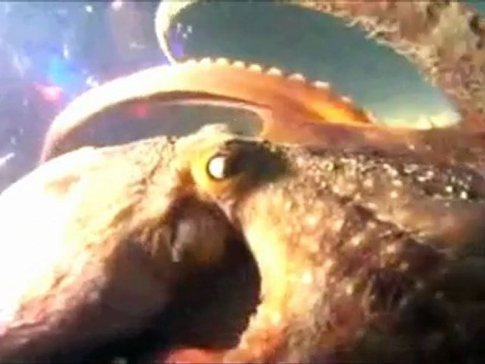 *** ERITREA MARVELOUS MASSAWA ***