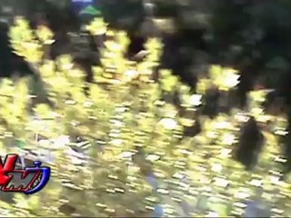 Avance Sierra Morena 2012