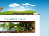 Atestat Informatica - Delta Dunarii