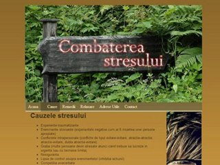 Atestat Informatica - Combaterea Stresului