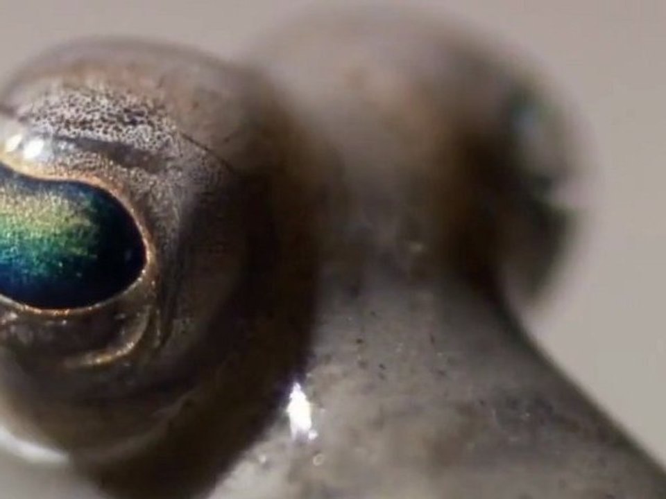 Our Story in 1 Minute