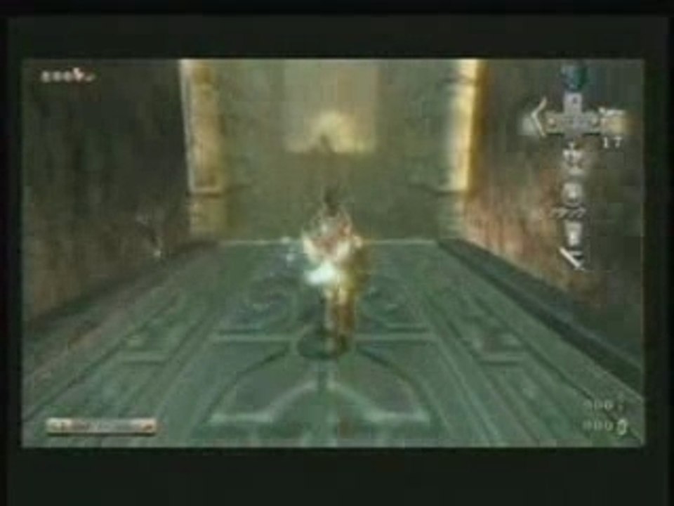 The legend of Zelda Twilight Princess