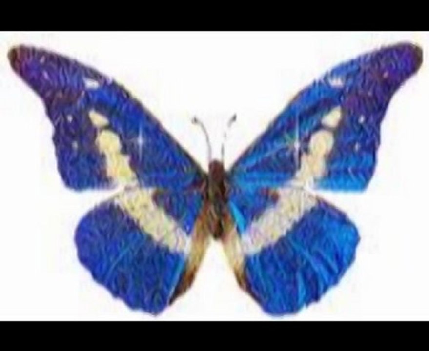 BEN SENİ BÖYLE SEVDİM BİRTANEM-Bilal Bütün-Ahmet Kurnaz