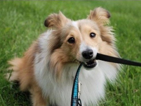 스포츠토토 ◆_O­K­5­5­9­9­.­K­R_◆ 생중계바카라 ▼↘ Laos