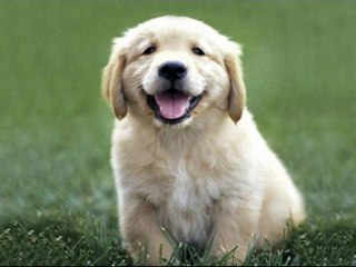 테크노카지노 ◆_O­K­5­5­9­9­.­K­R_◆  룰렛룰 ╉《 Norway