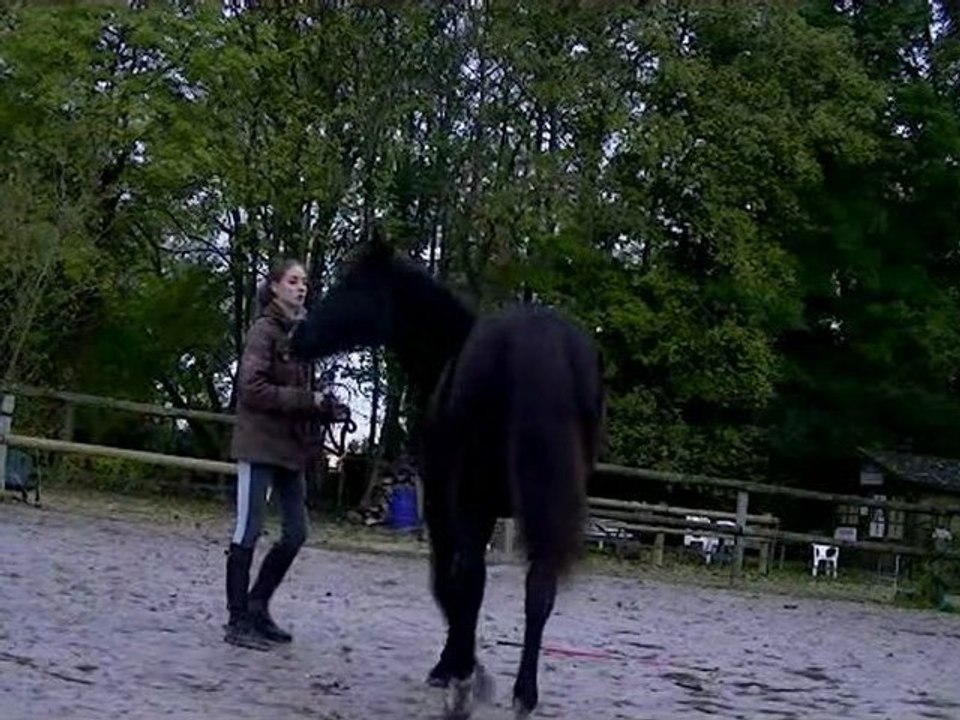 black beauty et charlotte séance du 3 Novembre 2012 ♥.
