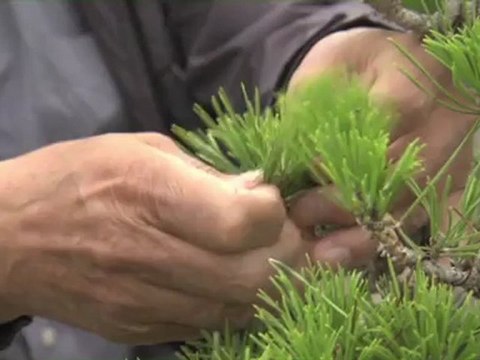 4ème rencontres franco japonaises de la coopération décentralisée