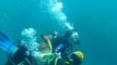 Scuba diving at the Great Barrier Reef