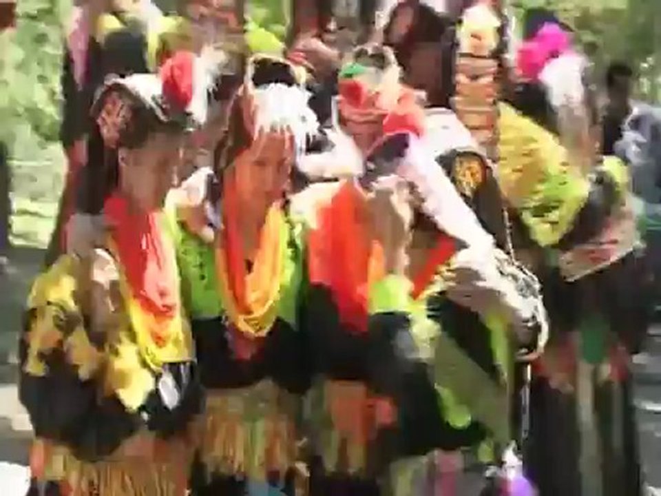 zahidmp4_mpeg2video
