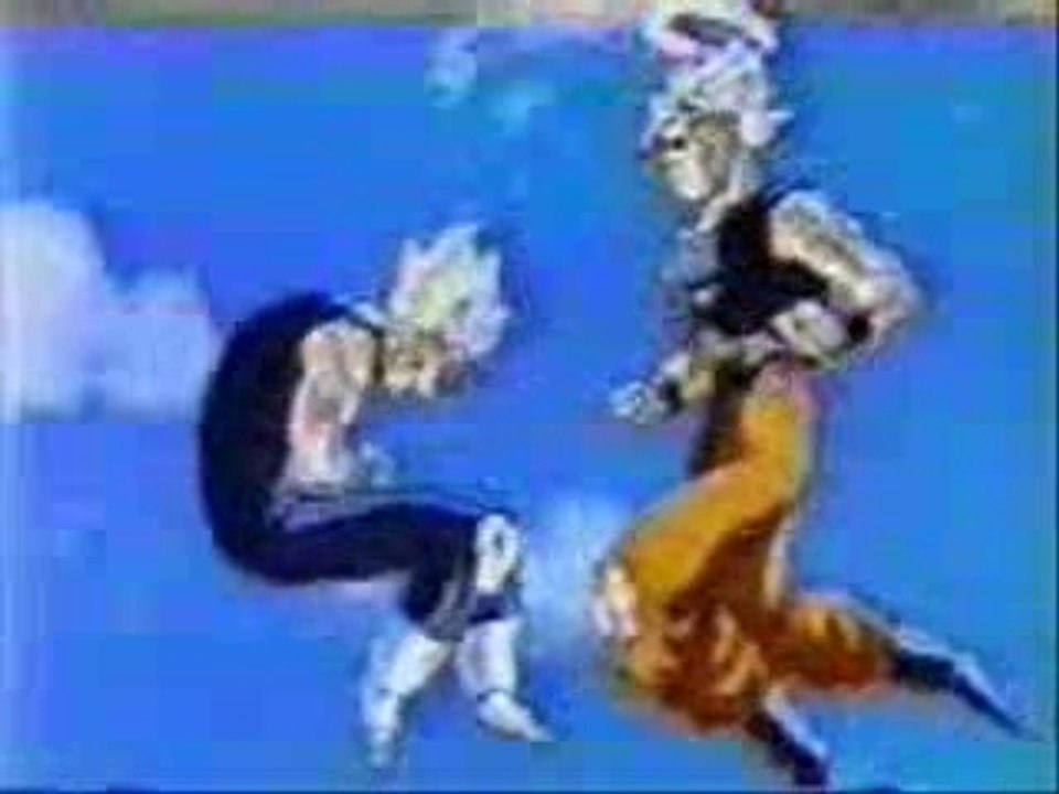 Dragon Ball-Z dbzfrag