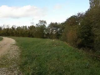 EVERLY DEUX ZONE SUR ANGLE DIFERANTS