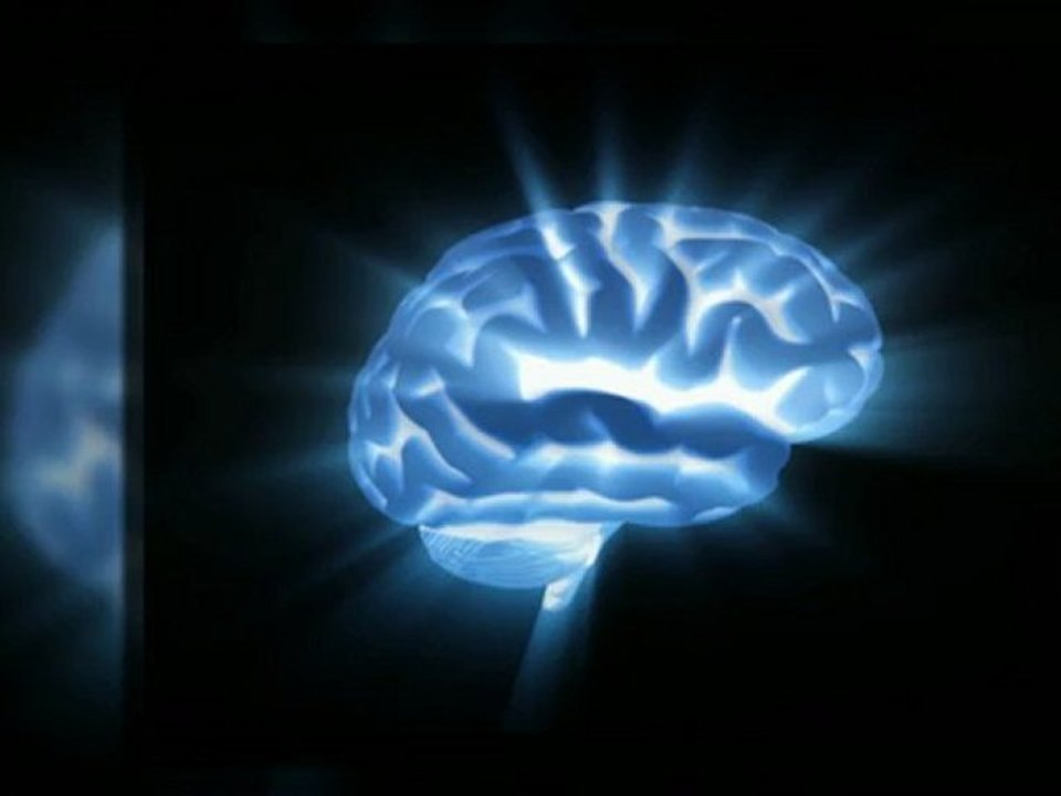 רוצים ללמוד פורקס מקצועני| צפו בודיאו