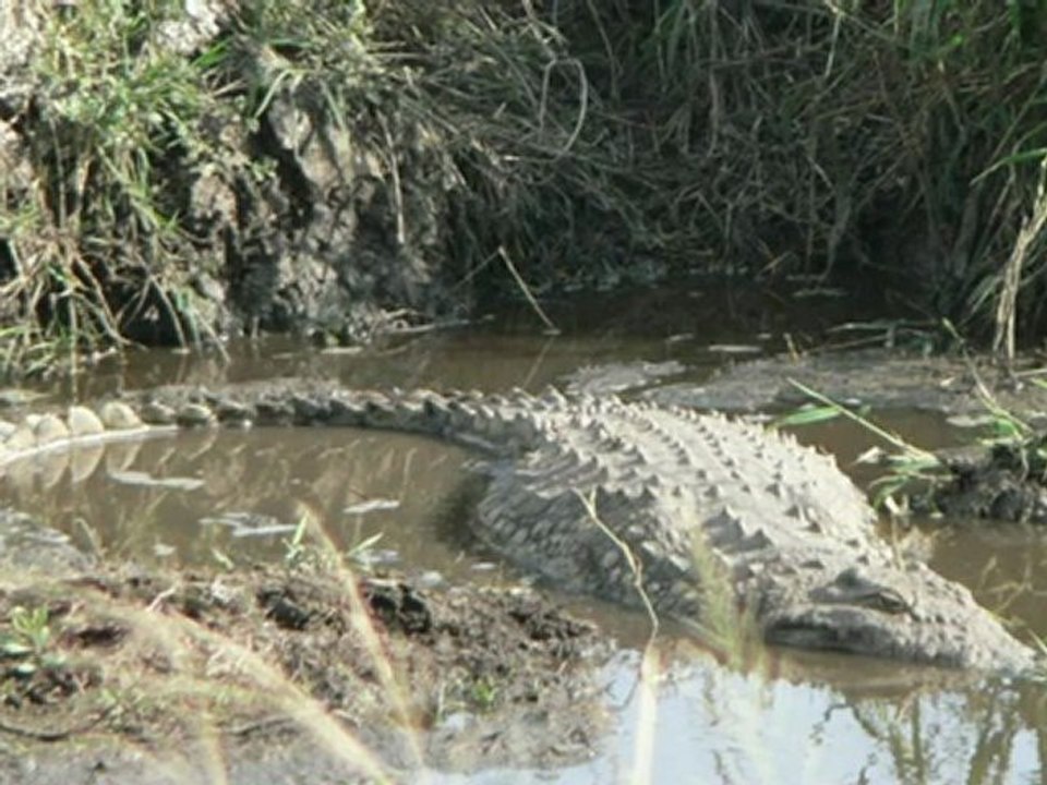 Tanzanie 2012