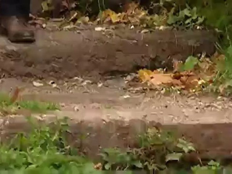 Eisenach - drei Reisetipps | Hin