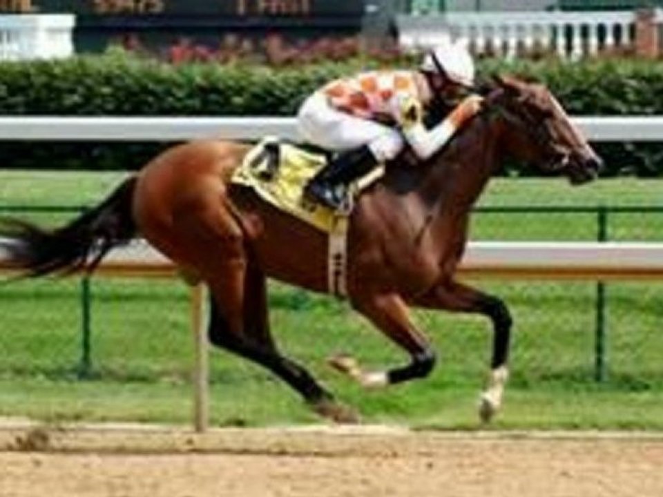 Horse betting system for beginners