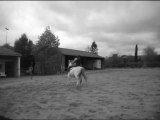 Nina Du Moulin séance en carrière