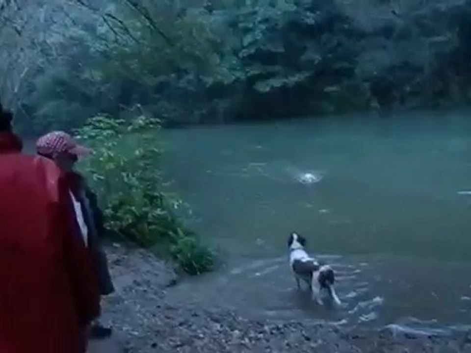 DSCN8895