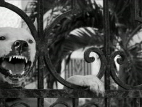 Les murs n'ont pas d'oreilles. @