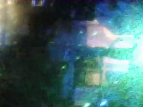 canlimuzik eglence mekani digungunu bekarliga -veda partileri kutlamalari