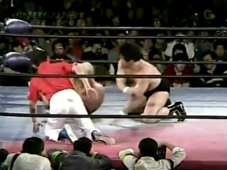Windham Vs Tenryu