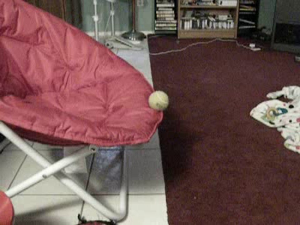 Dog Barks at Tennis Ball.