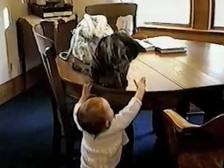 Cat Plays Fetch with a Baby