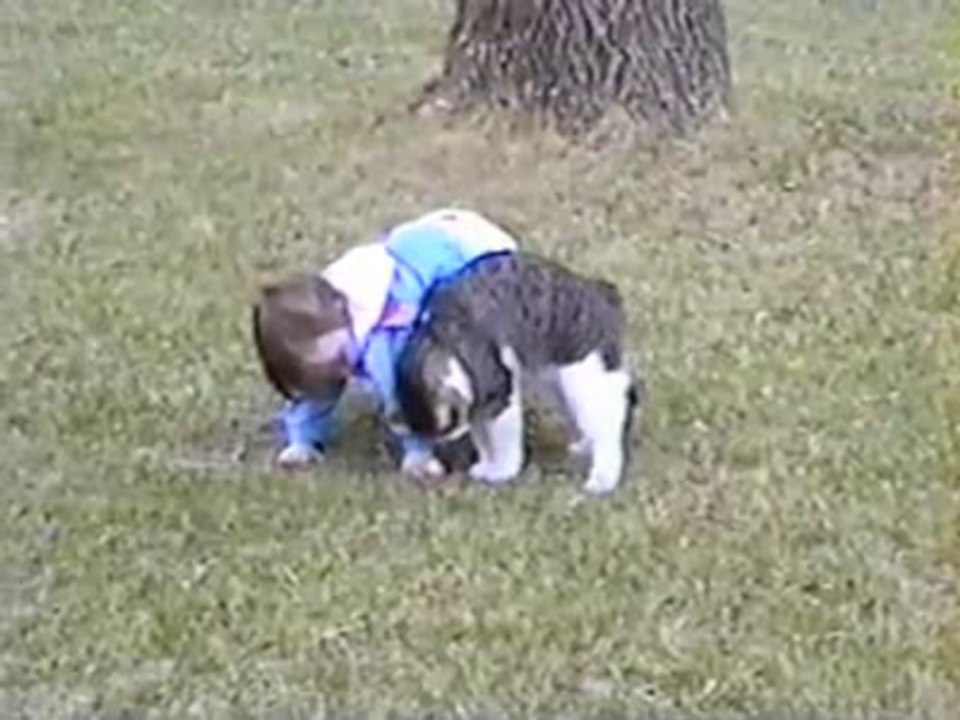 Cat Bumps Baby